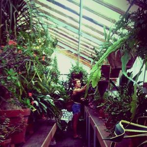 Meet your Posher, Dana